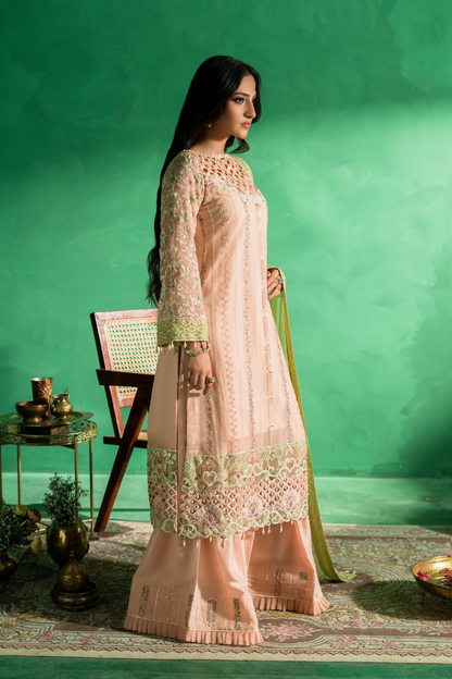 FC-08 |Farmaish Vol-08